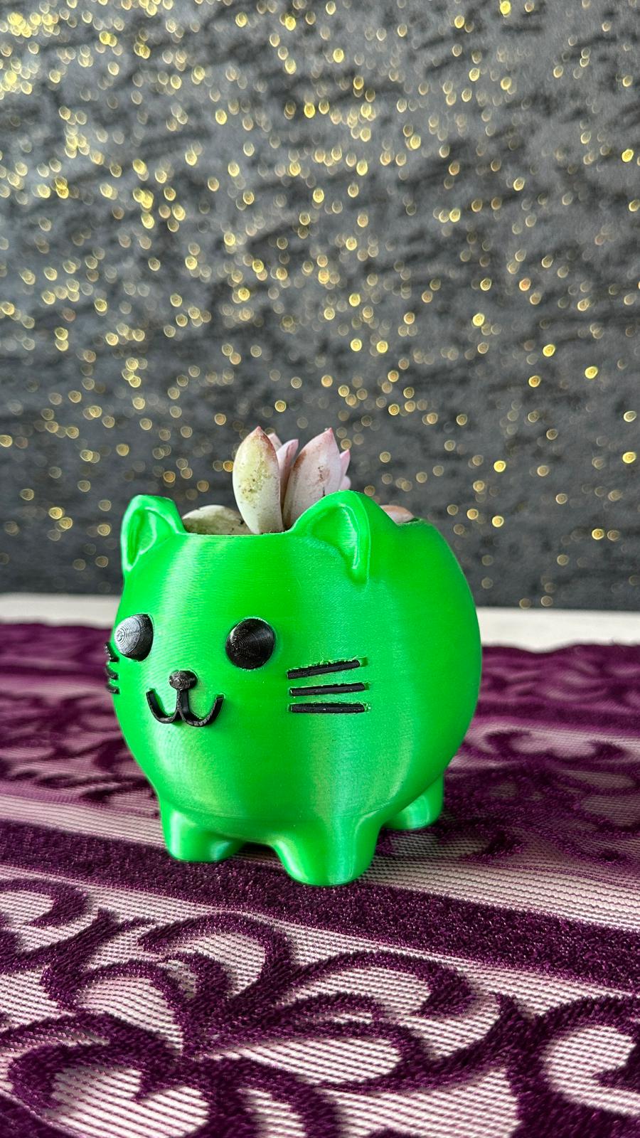 sevimli-kedi-figur-saksi-opalina-sukulent-2li-set4