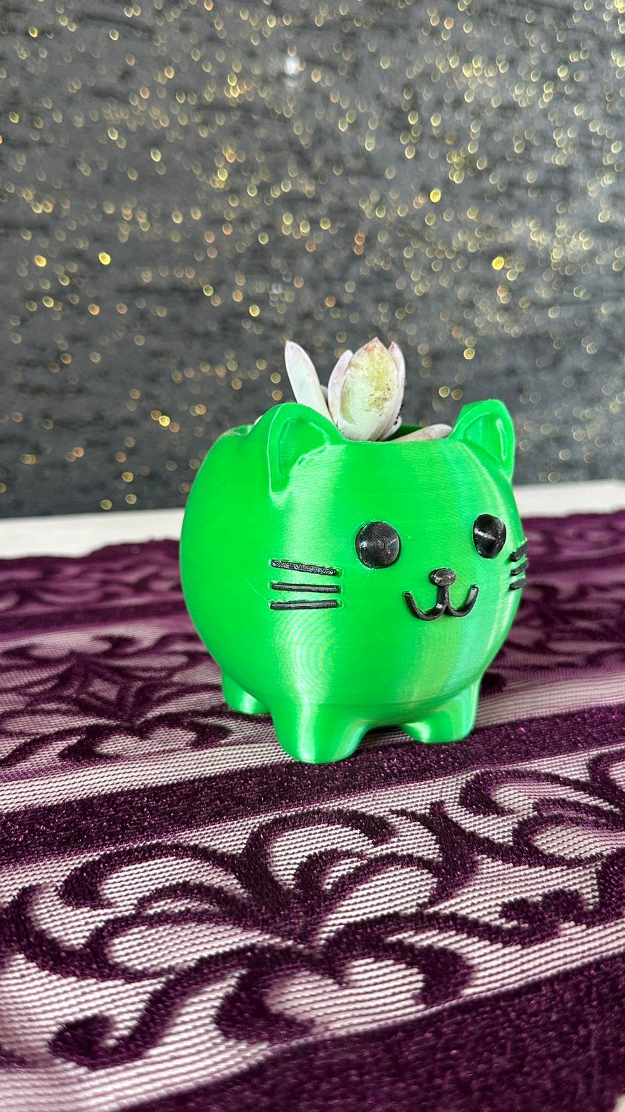 sevimli-kedi-figur-saksi-opalina-sukulent-2li-set5