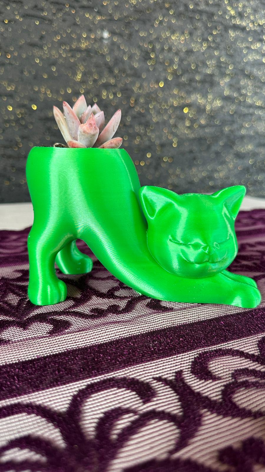 sevimli-kedi-figur-saksi-opalina-sukulent-2li-set7