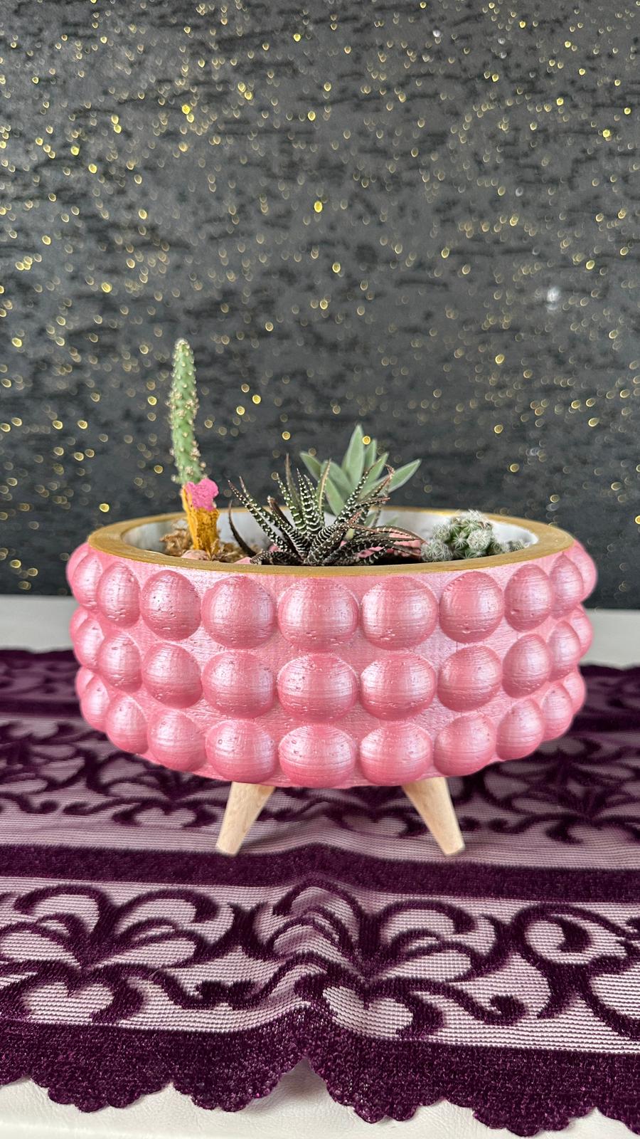Şık Pembe Saksıda Kaktüs Sukulent Seti
