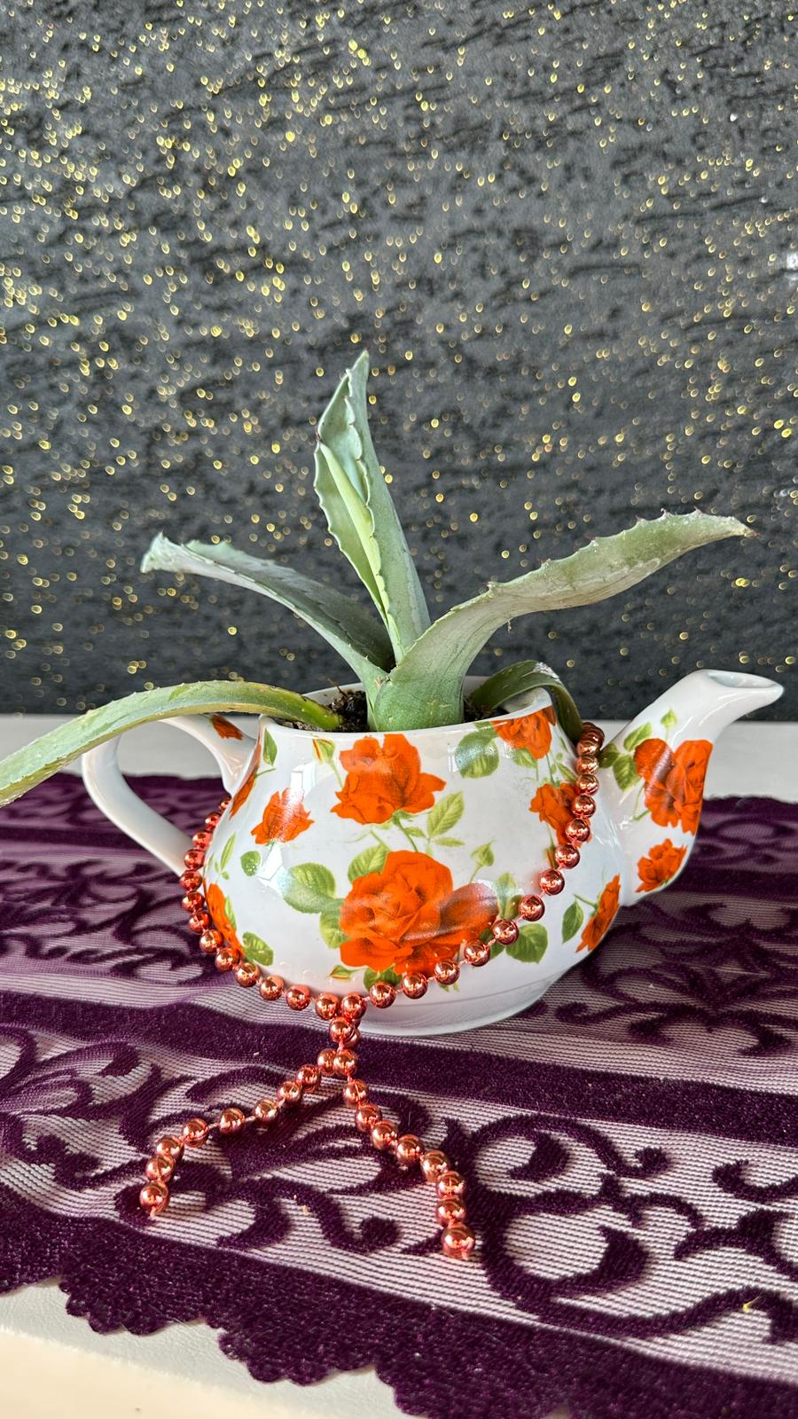 Vintage Çaydanlık Saksıda Aloe Vera Sukulent